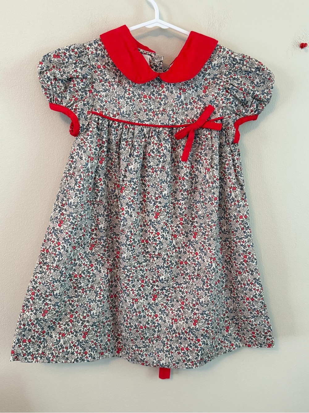 Marco & Lizzy Floral Red Trim Dress with Peter Pan Collar